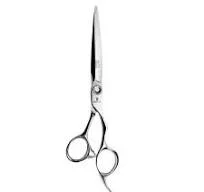αρχείο λήψης HECTOR 239 – 70OS SCISSOR